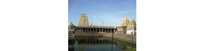 237. திருக்கச்சியேகம்பகம்